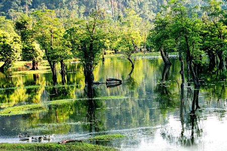 Thiết kế sân vườn, thiết kế sân vườn biệt thự, thiết kế sân vườn đẹp, sân vườn biệt thự, sân vườn sinh thái, biệt thự sinh thái, thiết kế sân vườn tiểu cảnh, thiết kế sân vườn cảnh quan, thiết kế hồ Koi, thiết kế hồ cá Koi, thiết kế hồ cá chép Nhật, thiết kế hồ cá chép rồng, thiết kế vườn treo, thiết kế vườn trên mái, thiết kế vườn nước, thiết kế vườn Nhật, thiết kế vườn khô, thi công sân vườn, thi công sân vườn biệt thự, thi công sân vườn đẹp, thi công sân vườn tiểu cảnh, thi công sân vườn cảnh quan, thi công tiểu cảnh, thi công cảnh quan, thi công hồ Koi, thi công hồ cá Koi, thi công hồ cá chép Nhật, thi công vườn treo, thi công vườn trên mái, thi công vườn Nhật