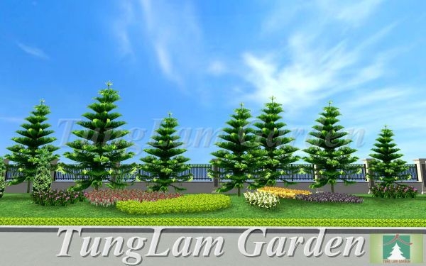 Thiết kế sân vườn 2