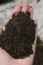 Hỗn hợp Compost là trái tim của vườn hữu cơ