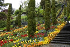 Lạc vào đảo hoa Mainau 