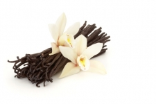 Cây Vanilla tự nhiên trồng thành công ở Việt Nam