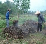 Cách tạo Compost