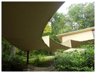  Fallingwater – kiệt tác bên thác nước