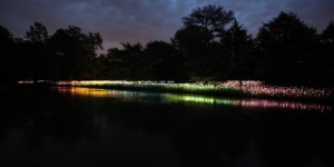 Cảnh quan nhân tạo độc đáo với đèn LED tại Longwood Gardens của Bruce Munro